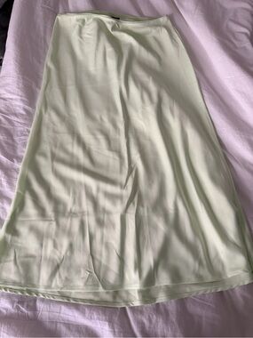 Wild Fable Light Green A-Line Skirt, SZ M